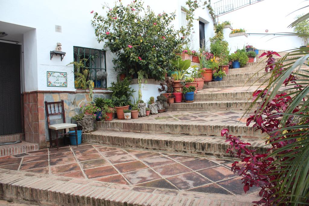 Casas Rurales Jardines Del Visir Genalguacil Bagian luar foto