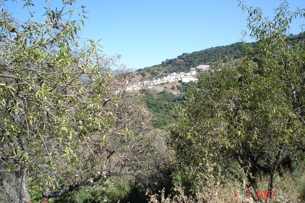 Casas Rurales Jardines Del Visir Genalguacil Bagian luar foto