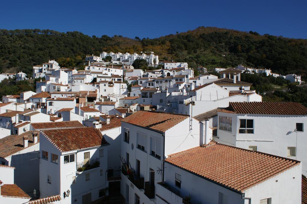 Casas Rurales Jardines Del Visir Genalguacil Bagian luar foto