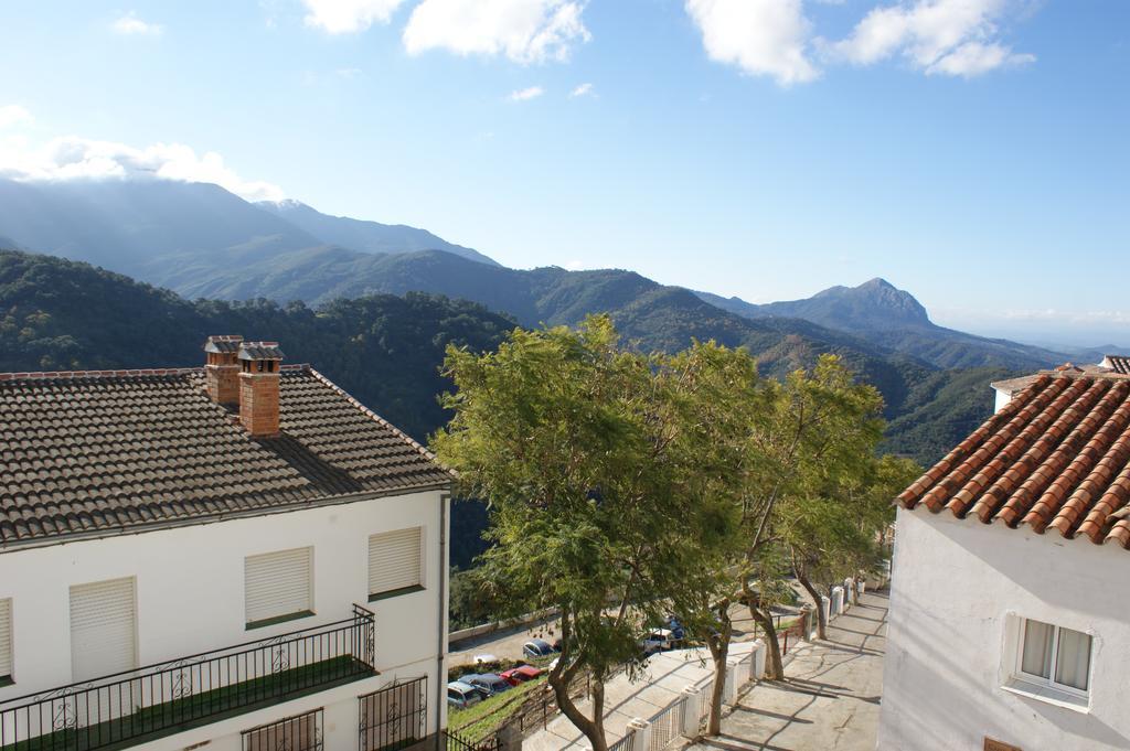 Casas Rurales Jardines Del Visir Genalguacil Bagian luar foto