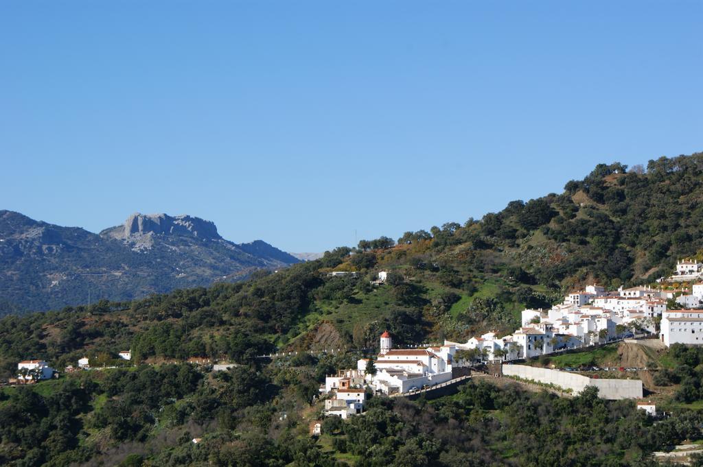 Casas Rurales Jardines Del Visir Genalguacil Bagian luar foto
