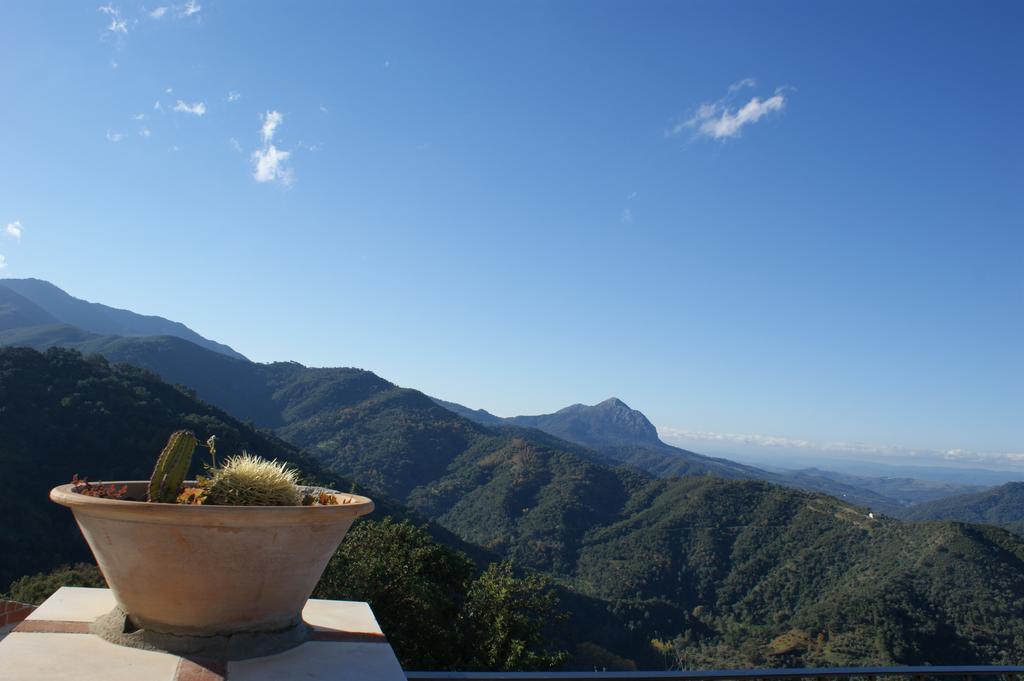 Casas Rurales Jardines Del Visir Genalguacil Bagian luar foto
